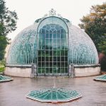 pexels-dominika-gregušová-785367