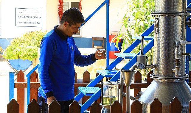 mugla-buyuksehir-distilasyon-tesisi-muglanin-aromatik-bitkilerini-isliyor-1gT1Z64v.jpg