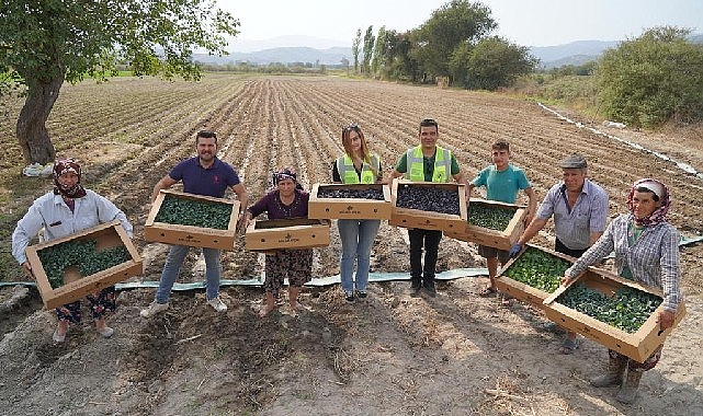 milas-belediyesi-uretiyor-uretimi-destekliyor-XlgDS4xw.jpg