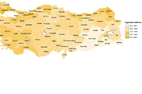 isgucu-istatistikleri-2024.jpg