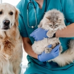 İzmir Veteriner (20)