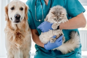 İzmir Veteriner (20)