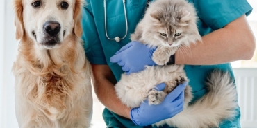 İzmir Veteriner (20)