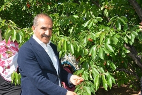 ucak-don-kirazi-kiraz-ihracati-vurdu.jpg