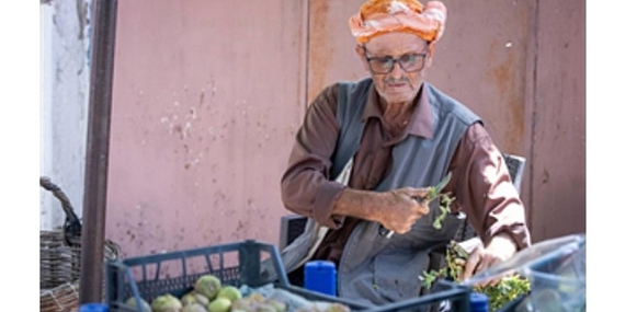 Beydağ incirinin katma değeri artıyor