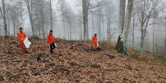 Harmancık’ta yanan ormanlara tohumlar serpiliyor