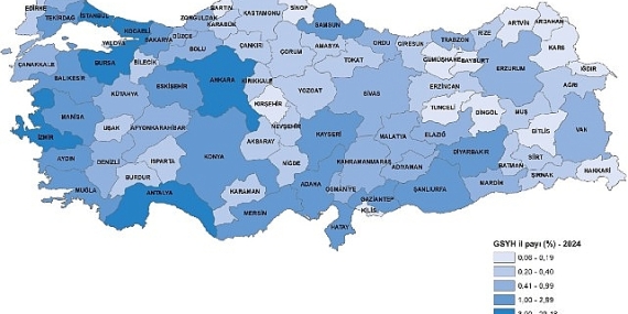 İl Bazında Gayrisafi Yurt İçi Hasıla, 2024