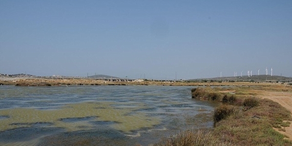 Egeli Akademisyen AB Destekli “HALO-FORCE” Projesinde yer aldı