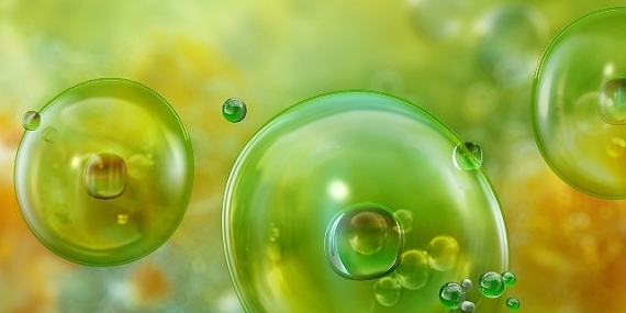 Akdeniz’de Görülen Mikroalgler ve Olası Sağlık Riskleri