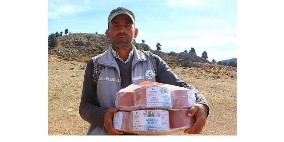 Büyükşehir Çoban Haritası Projesi ile 508 çobana destek oldu