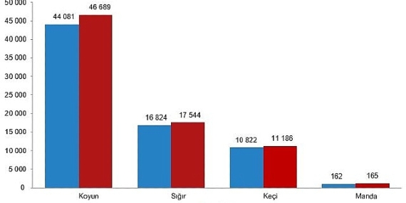 Hayvansal Üretim İstatistikleri, 2025