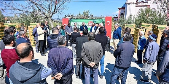 Gördes’te Üreticinin Yüzü Güldü: 73 Bin Domates Fidesi Toprakla Buluşuyor