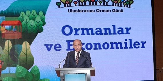 Ormanların Ekonomik Gücüne Dikkat Çekildi