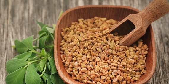 Prof. Dr. Nurhan Ünüsan; “Demirhindi, Bamya ve Çemen Otu, Mikroplastiklere Karşı Doğal Çözüm Sunuyor”