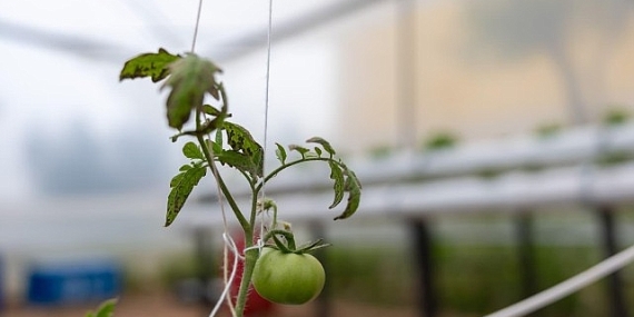 Yenişehir’den eğitime ‘Yeşil’ destek